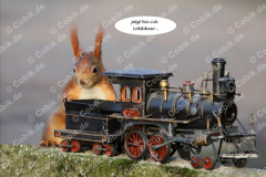 Eichhörnchen Bilderbüchlein