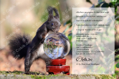 Eichhörnchen Bilderbüchlein