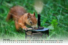 Bild00006