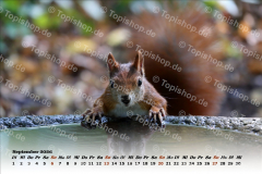Bild00009