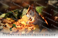 Bild00010