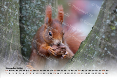 Bild00011