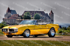 Bild Nr. 0737