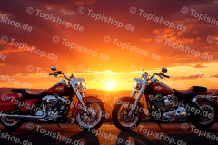 Bild Nr. #24