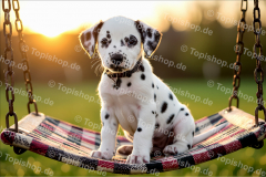 Bild Nr. 0627 KI geniert