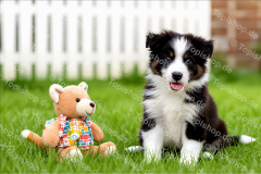 Bild Nr. 0637 KI Bild Nr. 0637 KI