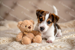 Bild Nr. 0636 KI Bild Nr. 0636 KI