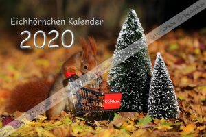 Eichhörnchen Kalender 2020