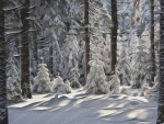 Winterlandschaft im Gemälde Style