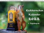 Eichhoernchen Kalender 2022